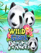 สูตร บา คา ร่า 2019 ฟรี sa กับความท้าทายใหม่ในโลกเดิมพัน